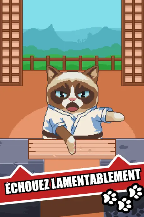 Grumpy Cat: Un jeu affreux