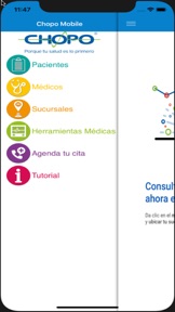 Captura de pantalla