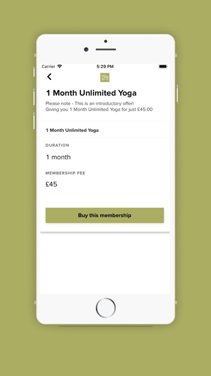 Your Yoga Experience