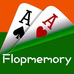 Flopmemory