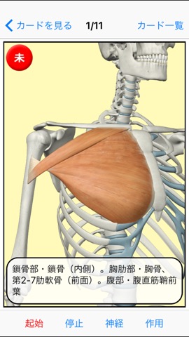 柔整学生応援セットのおすすめ画像6