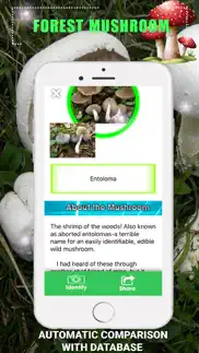 forest mushroom iphone screenshot 3