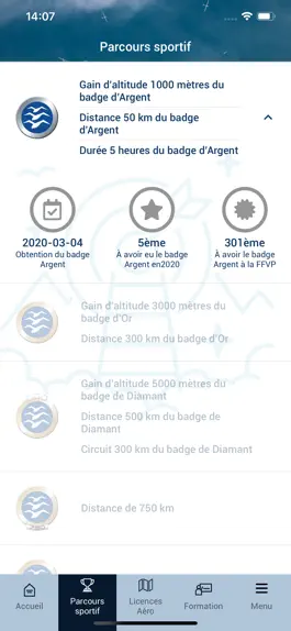 Game screenshot FFVP apk