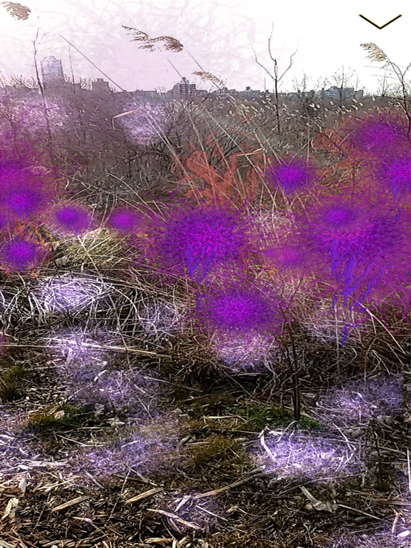 Screenshot #4 pour Becoming Biodiversity