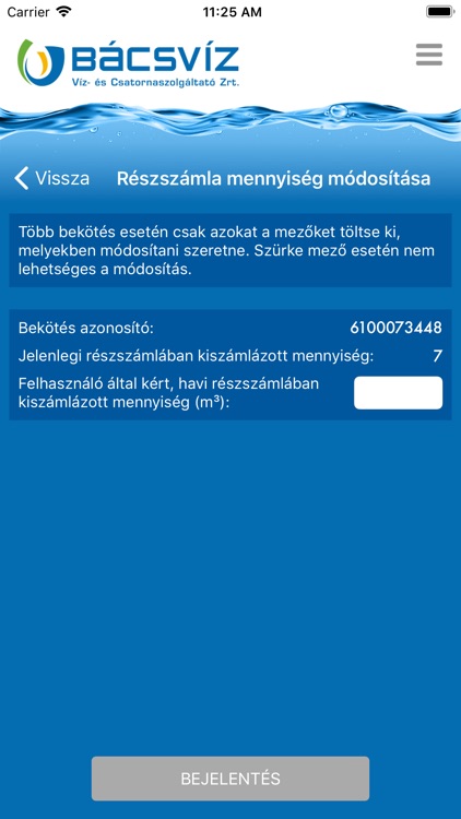 BÁCSVÍZ screenshot-3