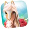 THE WORLD IS YOURS, MAKE IT THE PERFECT HORSE HAVEN
