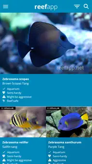 Reef App - Encyclopedia iphone bilder 2