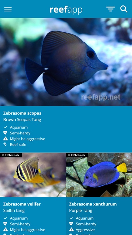 Reef App - Encyclopedia