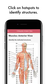 gray's anatomy audio hot spots iphone screenshot 3