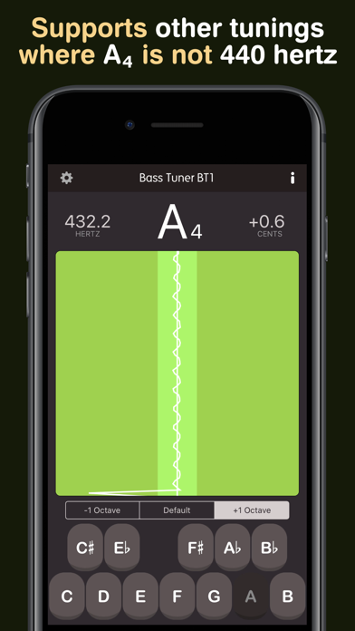 Bass Tuner BT1 Screenshot