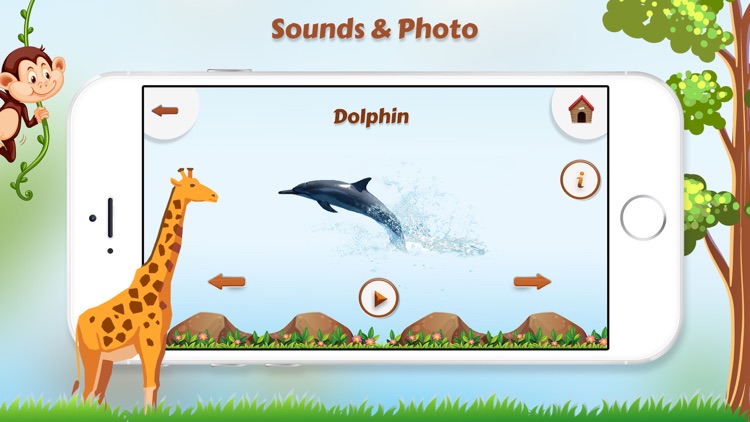 Animal Sounds with Photo screenshot-3