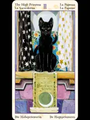 tarot of pagan cats айпад изображения 2