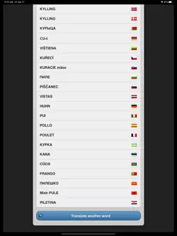 Offline Translate screenshot 7