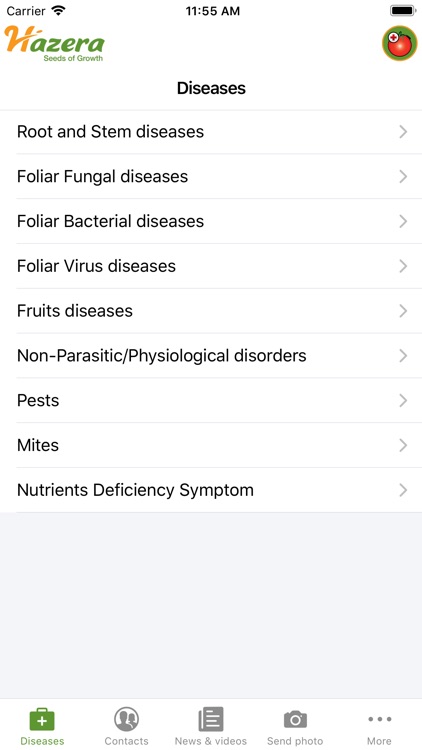 Tomato diseases