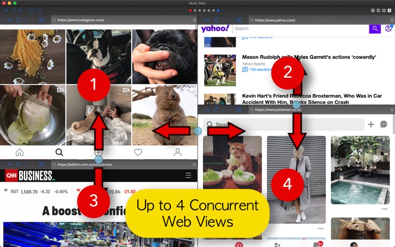 multi web view: split screen iphone screenshot 4