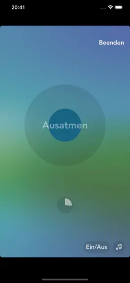 Game screenshot Vagusvit Home hack