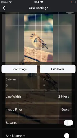 Game screenshot DrawinGrid apk