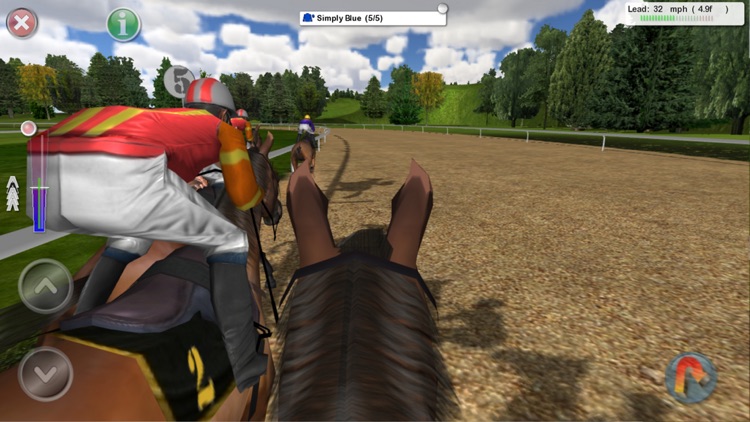Starters Orders 7 Horse Racing screenshot-8