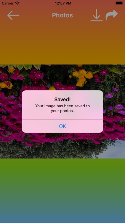 Pro Photo Filter screenshot-6