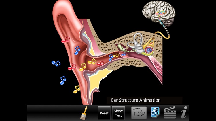 Ear ID