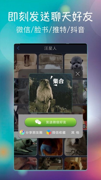 GIF动图表情包