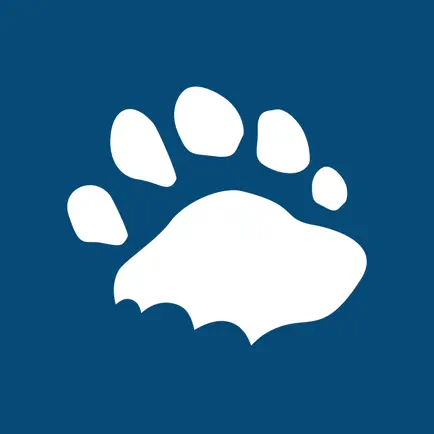 Bruin Bite Читы