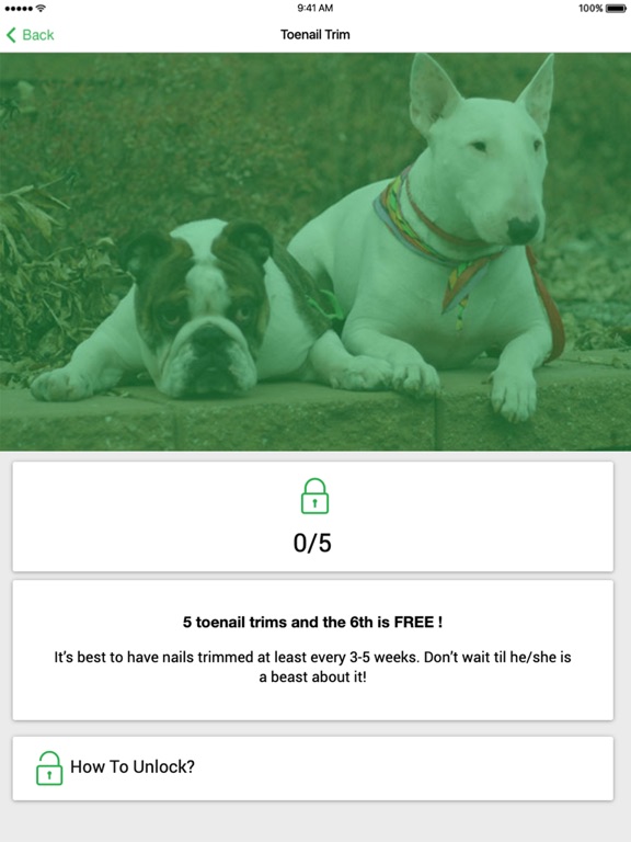 Kenl Inn iPad screenshot 3 - Business app