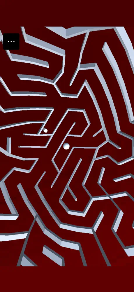 Maze Ball Fun