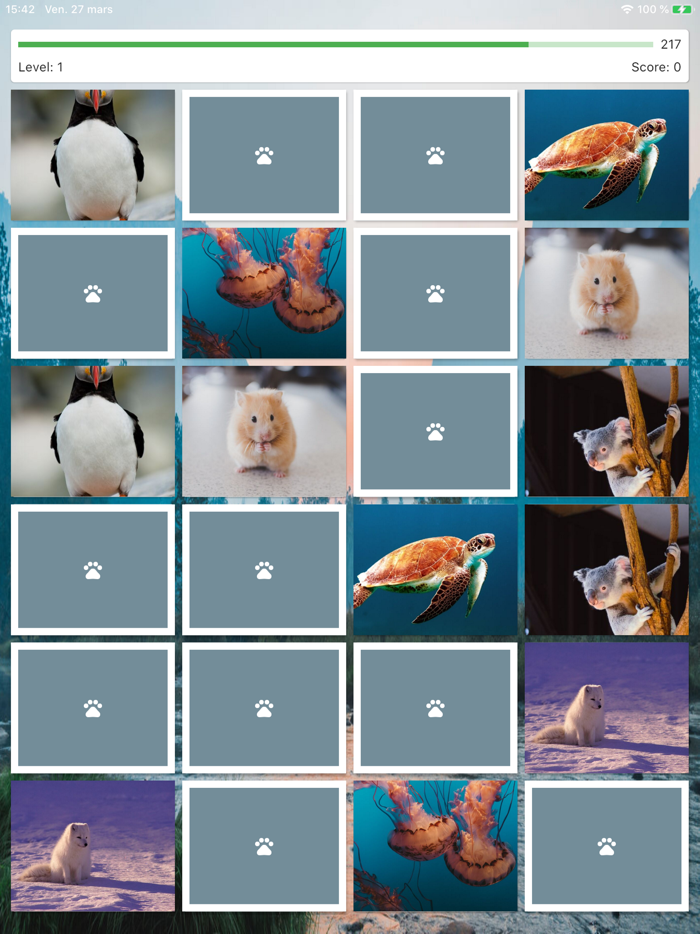 Memory - Match Pairs Card Game