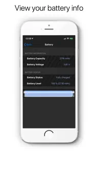 System & Network Info iphone resimleri 4