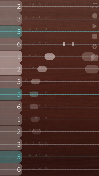 iGuzheng™⁺ screenshot-4