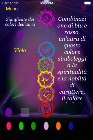 Chakra aura vision screenshot 2