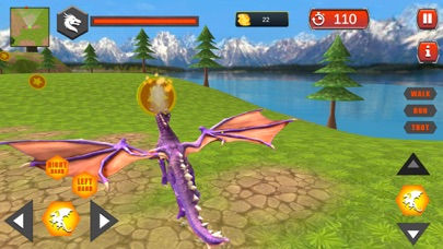 Village Dragon Combat Screenshot