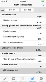 balance sheet - yourself iphone screenshot 3