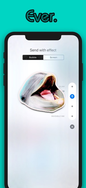 Cute Dolphins(圖2)-速報App