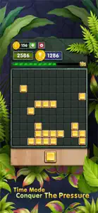 10s Amazing! Wood Block Puzzle screenshot #1 for iPhone