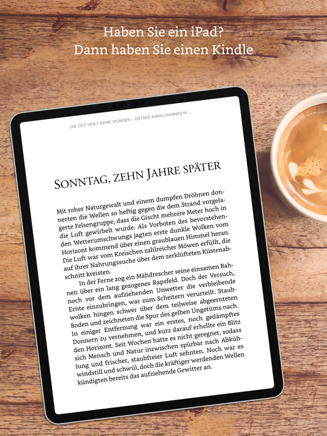 Kindle Screenshot