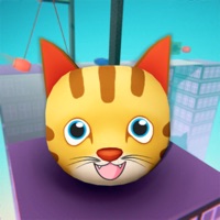 Plank Race  – Wipe Out pour PC