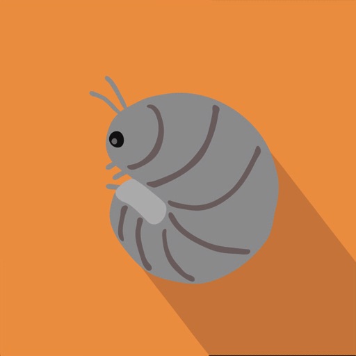 だんごむしの庭