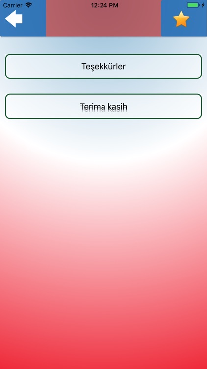 Türkçe Endonezce Sözlük screenshot-8