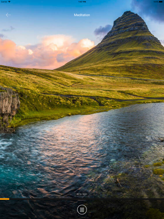 WellBrain Go iPad screenshot 6 - Medical app