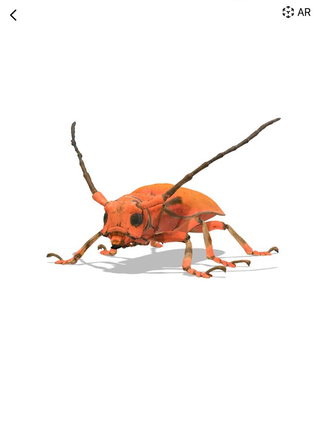 ‎Insecta - Study Insects in AR Screenshot