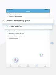 gastos y ingresos ipad capturas de pantalla 4