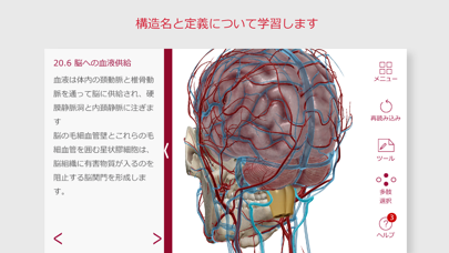 解剖学的構造と生理学スクリーンショット