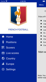 French Soccer live screenshot