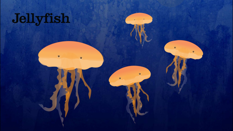 Peek-a-Zoo Underwater Ocean official gameplay screenshot 6