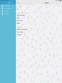 Pluviometer - Rain gauge iPad image 4