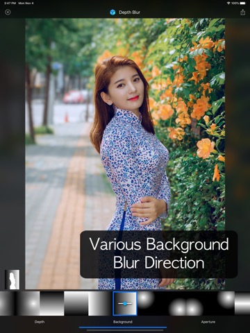 Depth Blur - Manual Portraitのおすすめ画像5