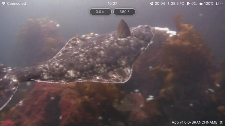 Blueye Observer screenshot-4