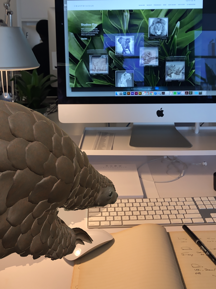 Chantecaille Wild Beauty